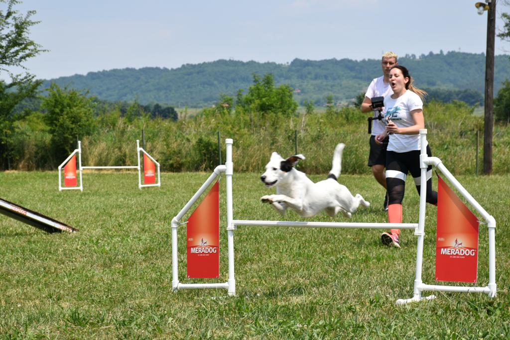 Simpor Dog Resort